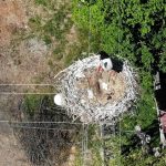 baharin mujdecisi yuvasina dondu 22 yildir birebir yerde 8EuqPBWk