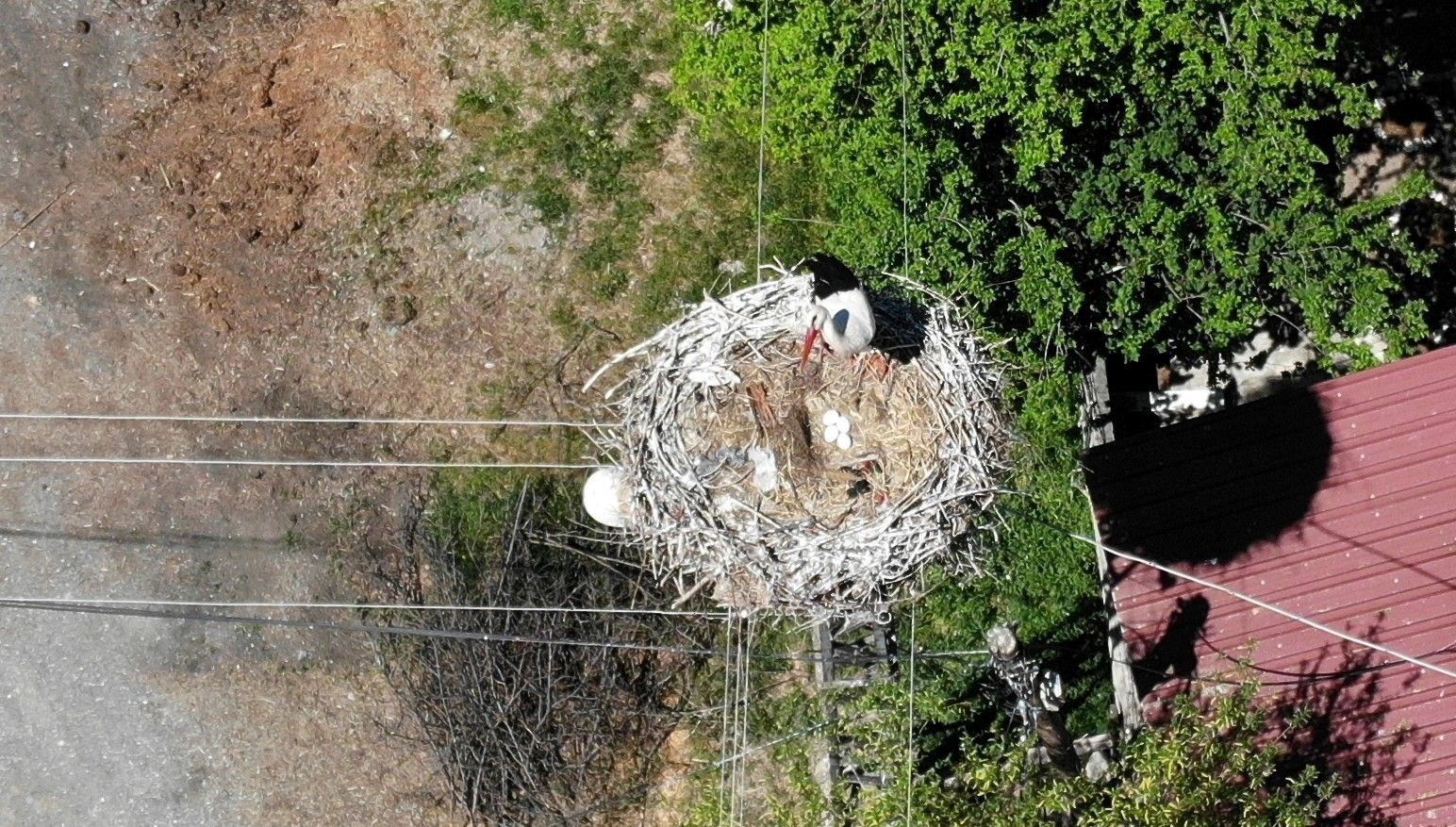 baharin mujdecisi yuvasina dondu 22 yildir birebir yerde 8EuqPBWk
