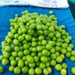 bakir potasyum fosfor demir deposu yazin gozdesi tezgahta BMlNgmcU