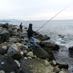 balik ciftligindeki 2 ton levrek denize dagildi balikcilar kiyiya kostu WXwPpKLL