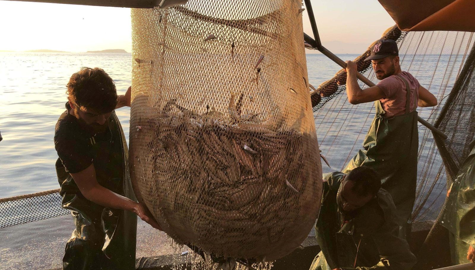 Balıkçılar paydos ediyor: İhlal edenlere binlerce lira ceza 71 balikcilar paydos ediyor ihlal edenlere binlerce lira ceza sDEGEpJm