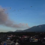 basaksehirde yangin 6 is yeri ziyan gordu UnhIuTEL