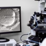 bayan dogum kliniginde akilalmaz ticaret para karsiligi yumurta satisi ERvNLrf1