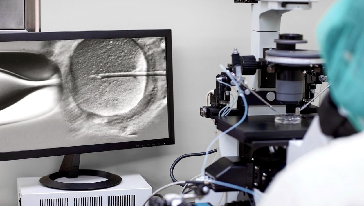 bayan dogum kliniginde akilalmaz ticaret para karsiligi yumurta satisi ERvNLrf1