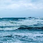 bilim insanlari dunya okyanuslari mora donebilir GzzTO3Zl