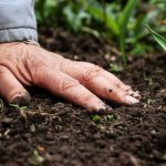 bilim insanlari topragin derinliklerinde gizemli yeni hayat formlari kesfetti DmnUitiZ