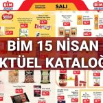 bim market 15 nisan aktuel katalogu bu hafta satista aycicek yagi atistirmalik eserler sac xv7ShDkS