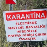 bir ilce karantinaya alindi mavi lisan hastaligi Q6HGEtb3