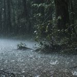 bitlis siirt sirnak van hakkari kuvvetli ruzgar ve firtina uyarisi hava durumu nasil hangi u5IkQInK