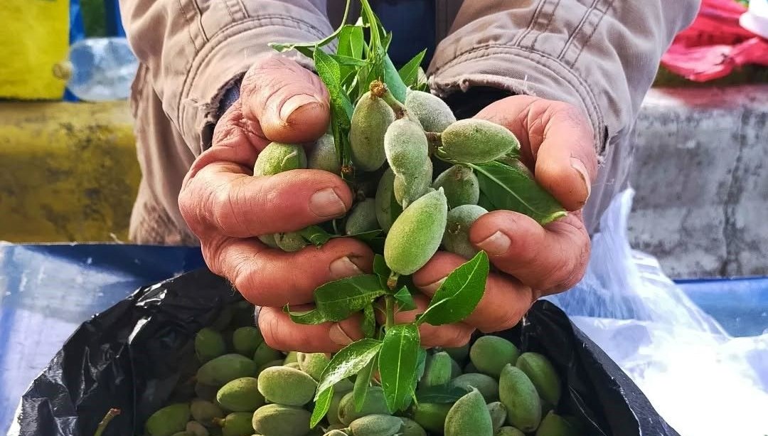 Bahar Esintisi Tezgahlarda: Kilosu 250 TL'den Yaza Davet 71 bu yil kilosu 250 tl baharin mujdecisi pazar tezgahini susledi qIlWzHL7