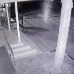 bursada ataturk bustunu calan kisi tutuklandi tEeiBGDz