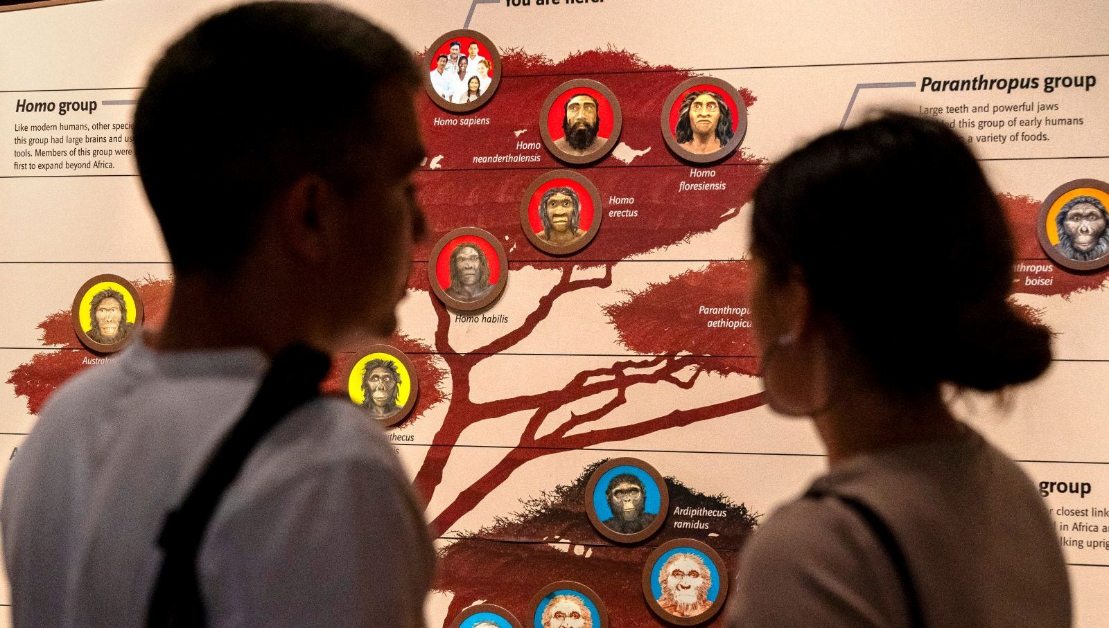 cagdas insanlarin 40 bin yil onceyok olmaktan nasil kurtuldugu ortaya cikti nGVBQZDn