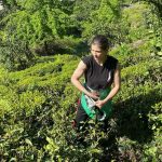 cay bahcesinden dunya sampiyonasina artvinli nisa gulun maksadi japonya l1kbbiCq