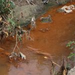 ceyhan irmaginda kirlilik renkten renge burundu PU5lqSjP