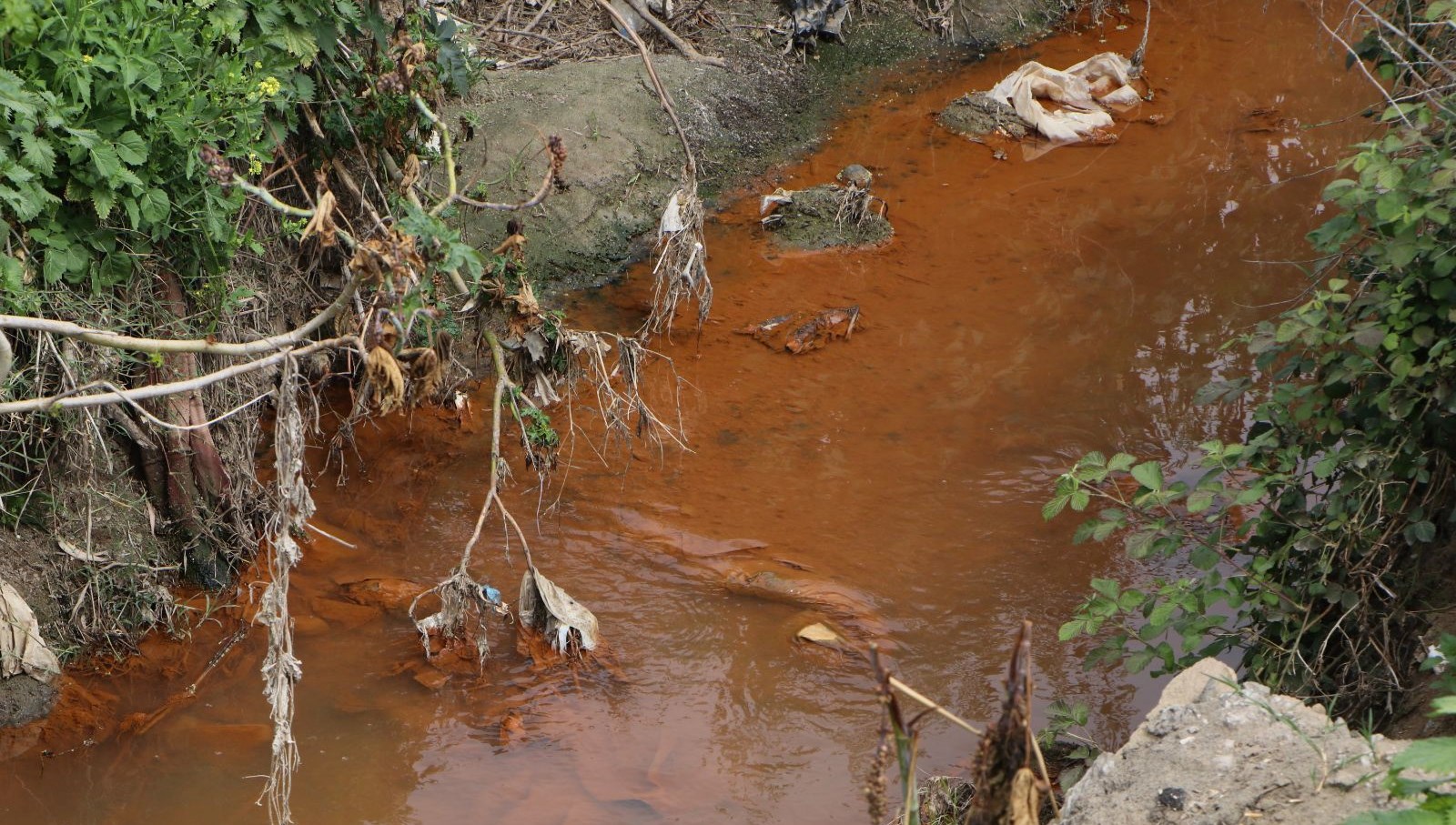 ceyhan irmaginda kirlilik renkten renge burundu PU5lqSjP