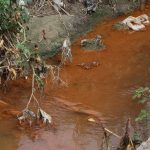 ceyhan irmaginda korkutan imaj drenaj kanallarinin kirlilikten rengi degisti tKwnQb8F