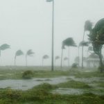 cinin bassehrini kuvvetli ruzgar vurdu GKzaDi47