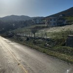 coban kopekleri saldirdigi adami oldurdu bcKxARm1