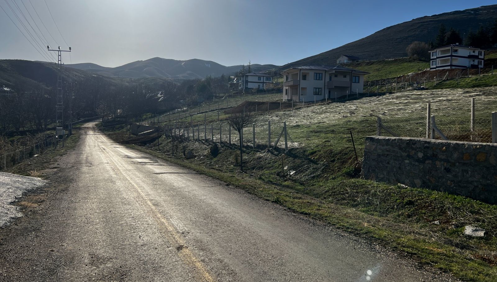 coban kopekleri saldirdigi adami oldurdu