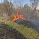 darendede sazlik yangini ng34GTPV