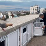 dedesinin hobisiydi artik kendisi besliyor fiyatlari 15 milyon lira VOinYy21