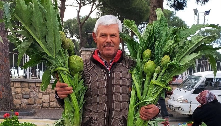 donem acildi tezgahta yerini aldi tanesi 70 tl hem saglikli hem de lezzetli spY8GcRw