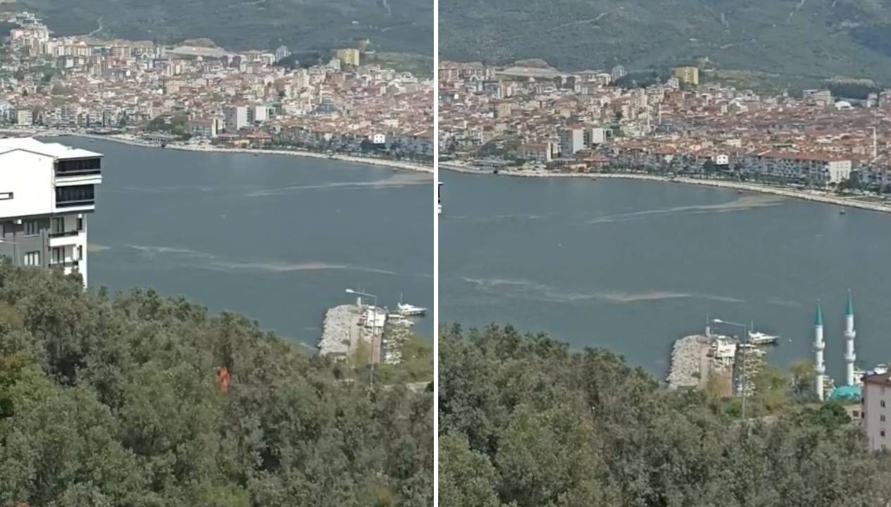 Dört yıl ortadan sonra müsilaj kabusu geri döndü 71 dort yil ortadan sonra musilaj kabusu geri dondu NgVQl3WQ