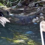 duden cayindan erkek cesedi cikti r4wLWQ13