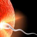 dunyanin birinci sperm nakli ihtilal niteliginde bir tedavi olabilir PWTeFIEB