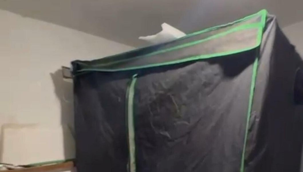 elbise dolabinda hint keneviri yetistiren ogretmen yakalandi ySFBiDyL