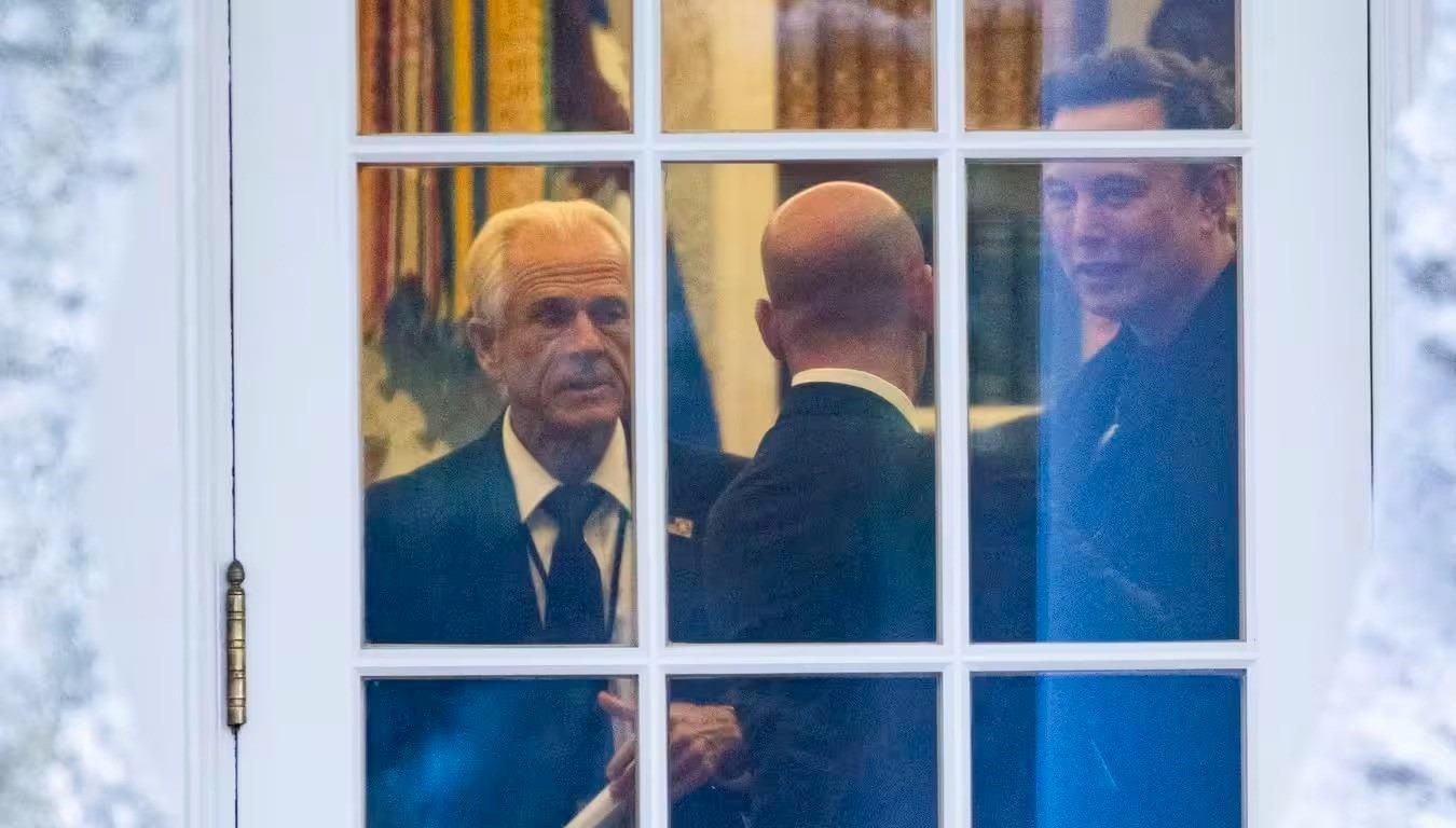 elon musktan trumpin ticaret danismanina moron aptal gEiQfH5b