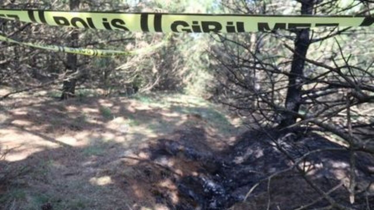 Eskişehir'de vahşet! Genç kadın ormanda yakılarak öldürüldü! 71 eskisehirde vahset genc kadin ormanda yakilarak olduruldu UTGR6RBC