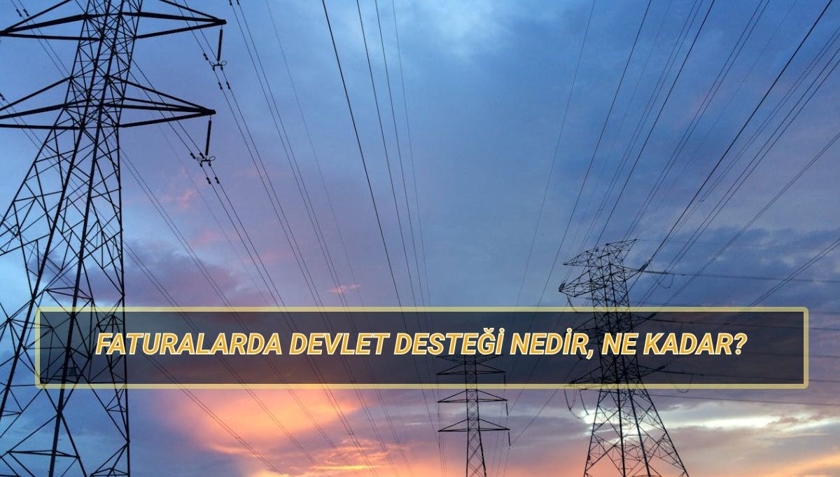 faturalarda devlet takviyesi nedir ne kadar dogalgaz ve elektrik faturasinda devlet dayanagi kaideleri neler CHLt3GY6