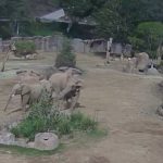 filler sarsinti sirasinda uyari cemberi olusturdu xkKMRFJv