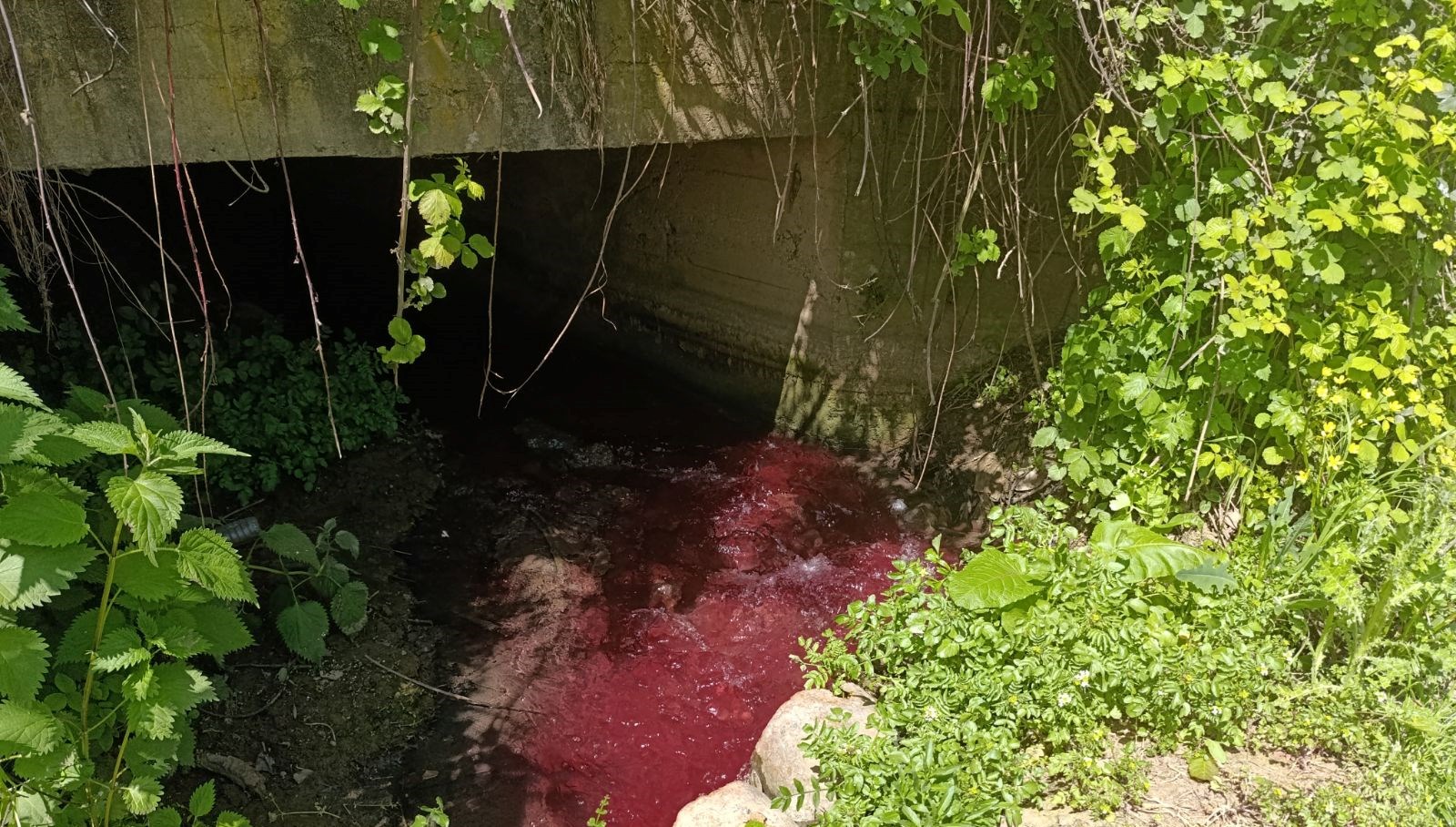 goren bir daha bakti bursada bu dere kan agliyor 8qPTM1vV