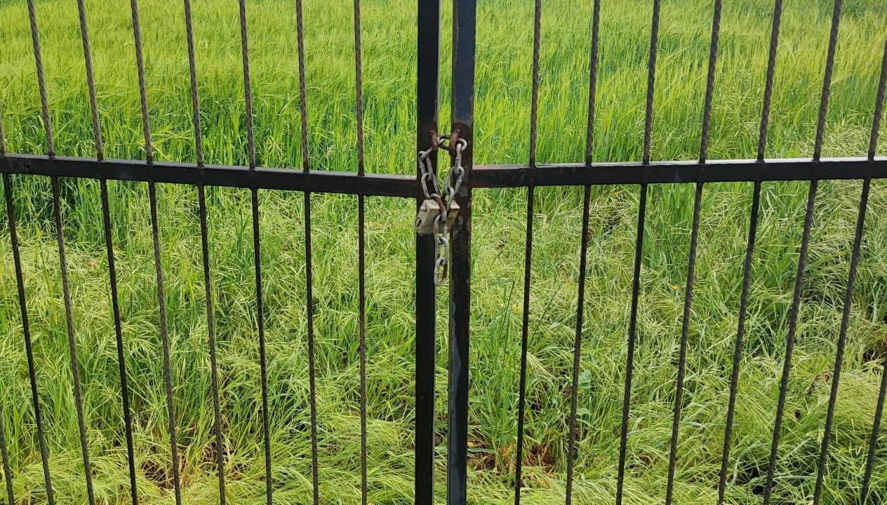 gorenler saskina dondu dort tarafi acik tarlaya kilit vurdu WfkdSNST