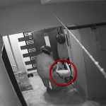 gorme engelli bayanin servetine goz diken yegeni yakalandi wj9szTPe