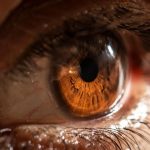 gormeyi geri getiren ilac gelistirildi 2BOhbu3J