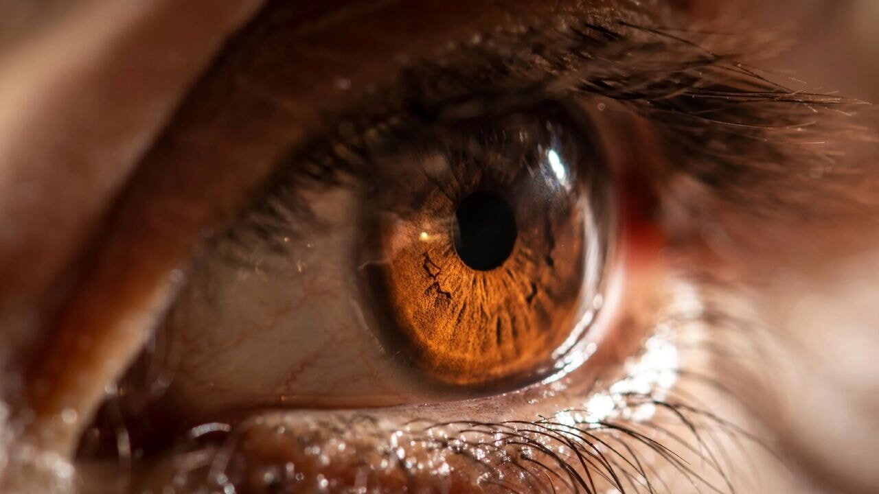 gormeyi geri getiren ilac gelistirildi 2BOhbu3J