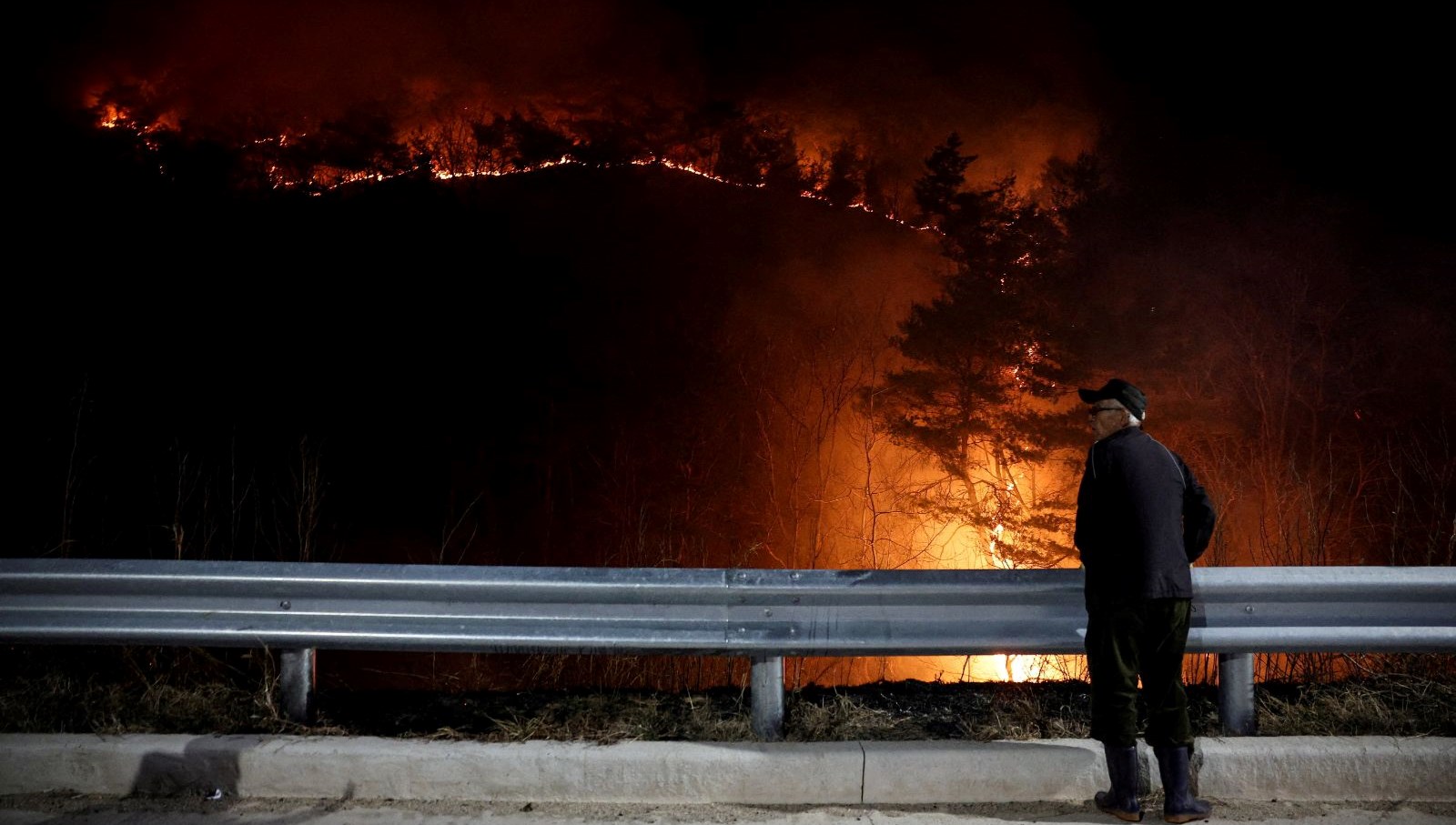guney korede orman yanginlari hasar kestirim edilenin iki kati wqX7pWUs