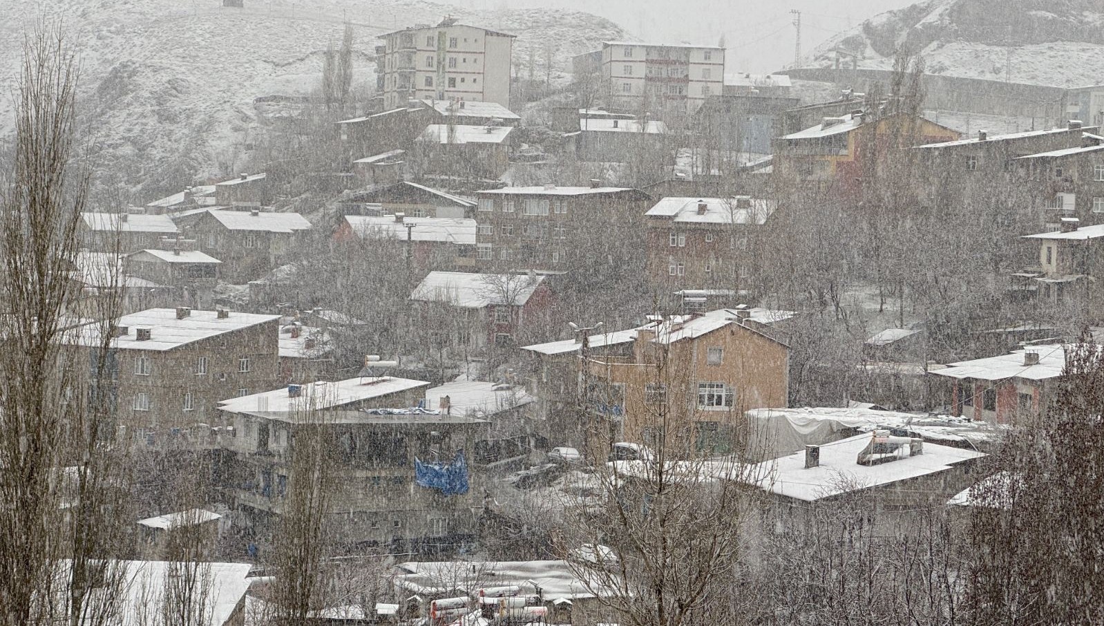 hakkaride nisan kari yagdi