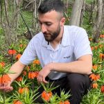 halk arasindaaglayan gelin olarak biliniyor 20 gunluk omru var koparmanin cezasi 244 bin lira iyyaW5tq