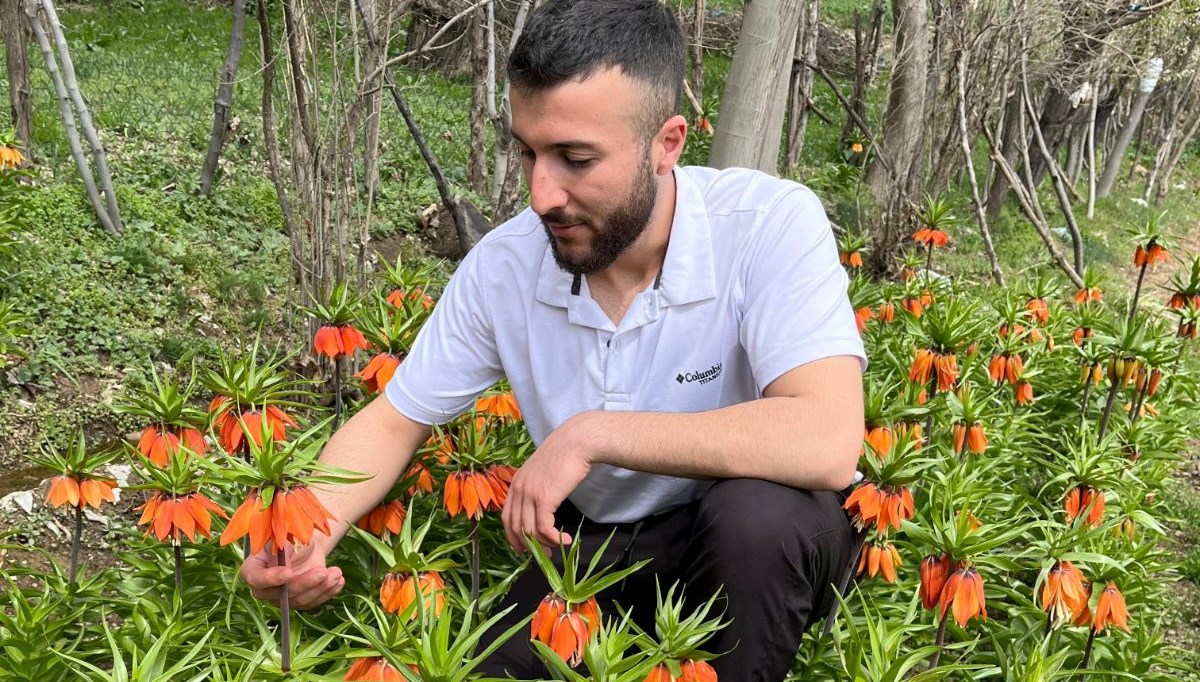 halk arasindaaglayan gelin olarak biliniyor 20 gunluk omru var koparmanin cezasi 244 bin lira iyyaW5tq
