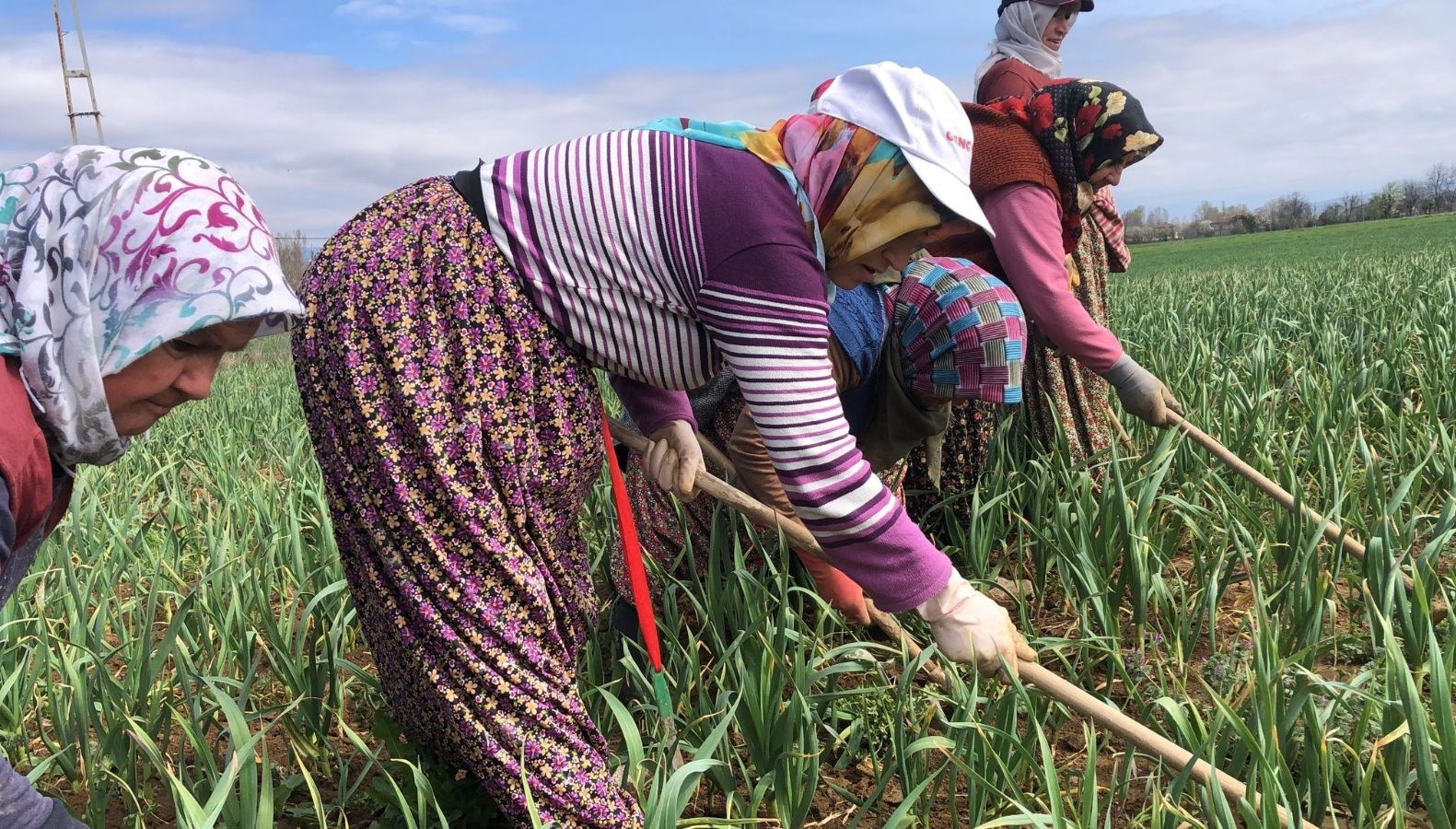 halk ortasinda beyaz altin deniliyor unu dunyaya yayildi capalama devri basladi skUvnJJz