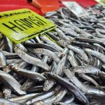 hamsi sardalya ve levrek var balik tezgahlari bos kalmayacak ChQGqMMc