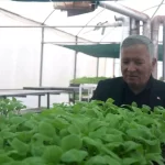 honaz belediyesi cet tohumlarindan fiyatsiz fide dagitimi yapiyor pSjD2b8g