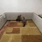 horoz dovusu ihbarina baskin AvSVZaud