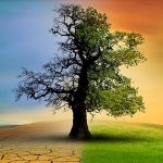 iklim kanunu nedir bu kanunla neler degisecek 14 soruda iklim kanunuyla ilgili merak edilenler AjW7zDB4