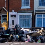 ingiltere sokaklarini sicanlar basti kedilerden daha buyukler qdRmnqpH