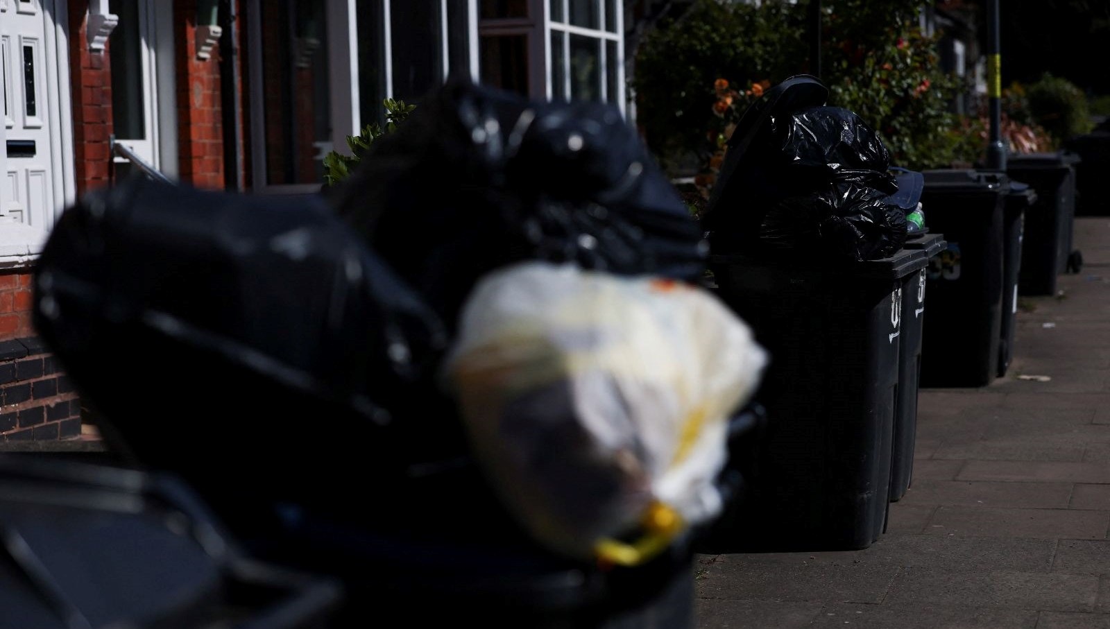 ingilterede cop ve fare krizi ordu devreye giriyor gYJsU9JI